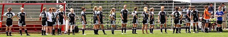 Verona Wildcats at the WIAA State Girls Soccer Tournament - Milwaukee, WI